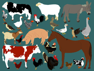 Cartoon ranch farm animals collection vector illustration isolated. Domestic cattle, poultry fowl birds, cloven hoof animals. Cow, bull, horse, sheep, donkey, goat, pig, chicken, goose, duck, turkey.