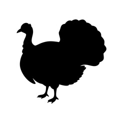 turkey icon, turkey line art - simple line art of turkey, perfect for turkey logos and icons