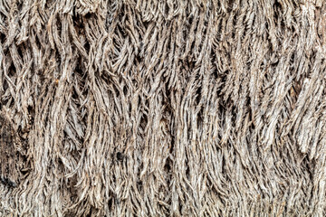 Textured bark of Australian grey box