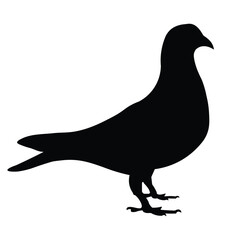 Black color pigeon silhouette vector graphics design.