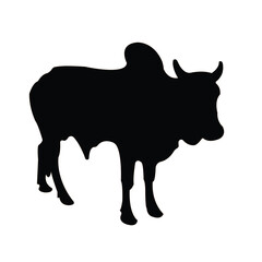 Cow Silhouette with Hump and Horns, Isolated on White Background