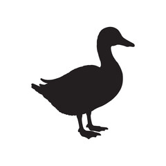  Duck Standing on White Background – Minimal Vector Illustration