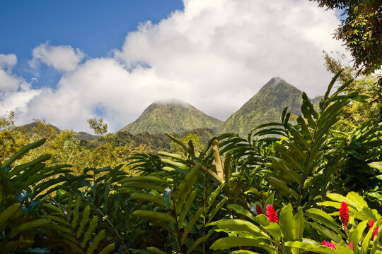 Piton du Carbet volcanic mountains, Martinique island, Caribbean