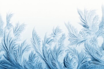 Winter Frost Patterns on Glass
