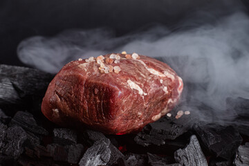 Piece of raw meat on coals