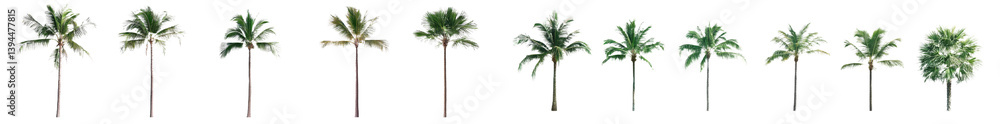 Poster Minimalist mockups showcasing a series of isolated palm trees in a clean, simple layout for design projects