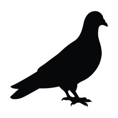 Black color pigeon silhouette vector graphics design.