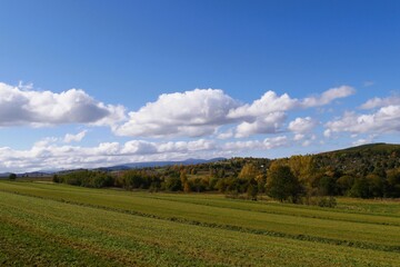 Wide view of a green and golden field with trees showing autumn colors, under a blue sky with white clouds and distant hills