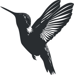 Silhouette of a hummingbird in flight, showcasing detailed wings and elegant form.