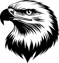 Powerful black and white vector illustration of a bald eagle's head in profile, showcasing its sharp gaze and detailed feathers. Represents freedom, strength, and American symbolism.