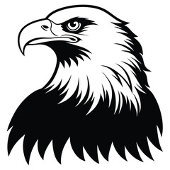 Eagle bald vector shilhouette single collection