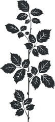 Obraz premium Black and white silhouette of a plant with detailed leaves and stems, creating a botanical design.