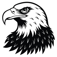Obraz premium Eagle bald vector shilhouette single collection