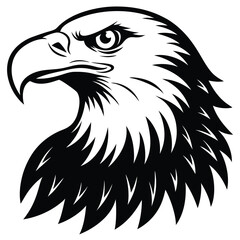 Obraz premium Eagle bald vector shilhouette single collection