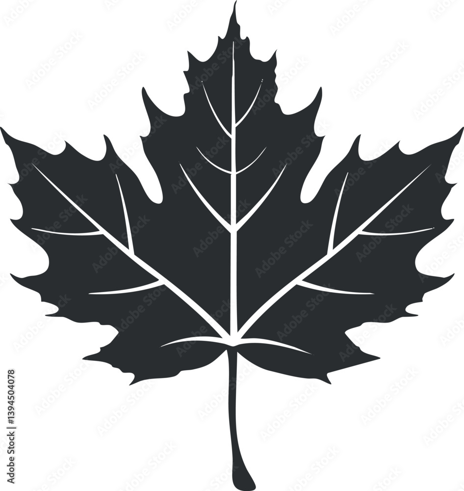 Poster black silhouette of a maple leaf, showcasing its distinct shape and botanical features.