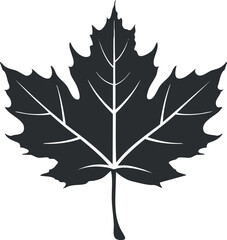Black silhouette of a maple leaf, showcasing its distinct shape and botanical features.