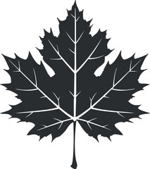 Black silhouette of a maple leaf with detailed veins on a white background.