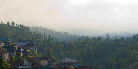 Tea plantation of Valparai