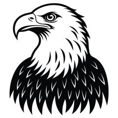 Fototapeta premium Eagle bald vector shilhouette single collection