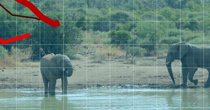 In animation, red downward arrow over elephant drinking at waterhole in landscape
