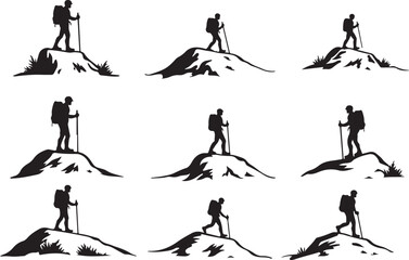 Hiker's Journey Through the Pines