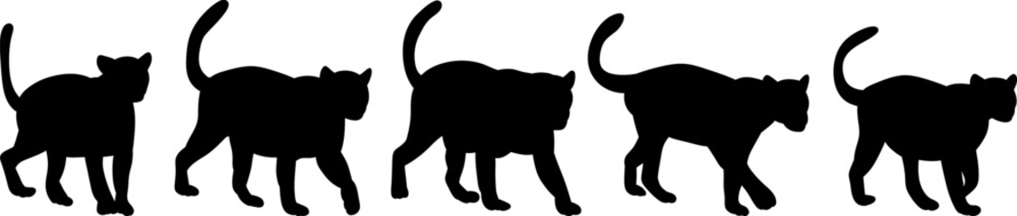 set of silhouettes jaguars, leopards, panthers, vector