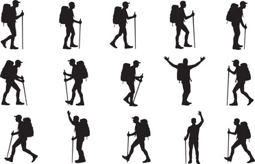 Obraz premium Hiker's Journey Through the Pines