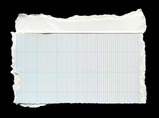 Torn piece of grid paper on a black background