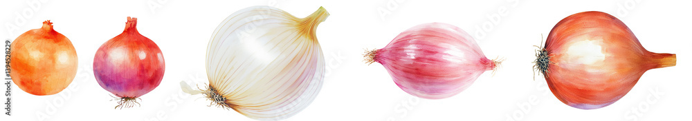 Poster different varieties of onions isolated on a clean white background in a minimalist mockup style