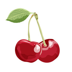 Cherry with leaf isolated on white background. Vector illustration. 