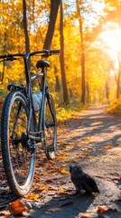 Fototapeta premium Autumn bike ride through golden forest