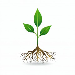 Fototapeta premium Illustration of a Green Plant with Roots on White Background