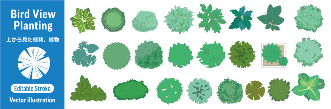 上から見た植栽・植物　ベクターイラストセット (編集可能/シンプル/デザイン)