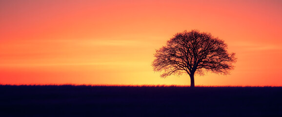 Obraz premium Lone Tree Silhouette Against a Vibrant Sunset Horizon creating a peaceful and captivating natural scene.