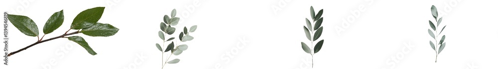 Aufkleber isolated minimalist mockups of green leaves showcasing diverse shapes and sizes on a white backgroun