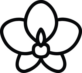 Obraz premium oxeye daisy, orchid, oleander, flower logo