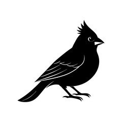 Cardinal Silhouette vector illustration