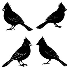 Cardinal Silhouette vector illustration