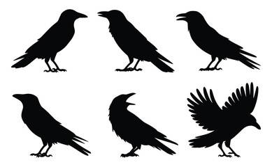 Silhouettes of crows in various poses. vector illustration.