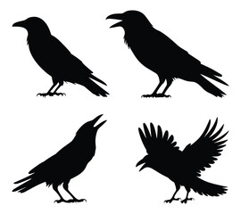 Silhouettes of crows in various poses. vector illustration.