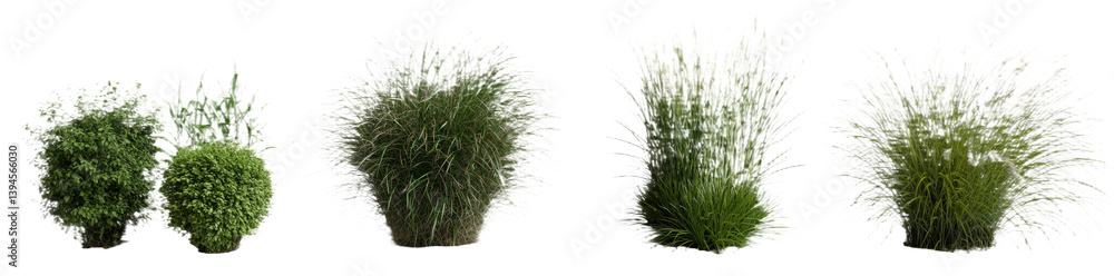 Poster Isolated minimalistic mockups of various green plants in simple arrangement showcasing different textures and forms
