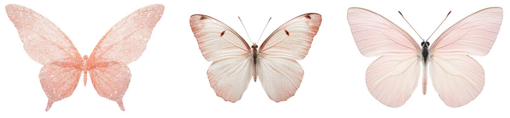 Fototapeta premium Minimalist isolated mockups of delicate butterflies showcasing soft colors and intricate wing patterns for design inspiration