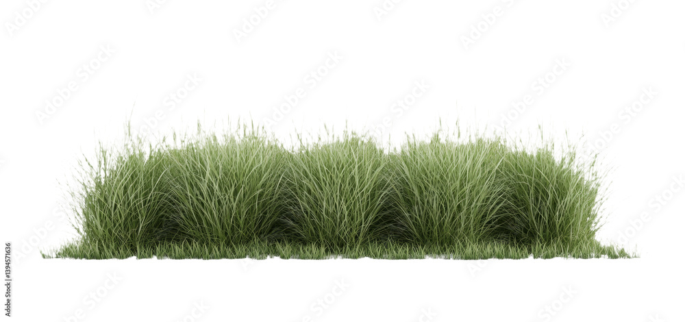 Aufkleber realistic isolated minimalist mockup of lush green grass on a plain white background for landscaping