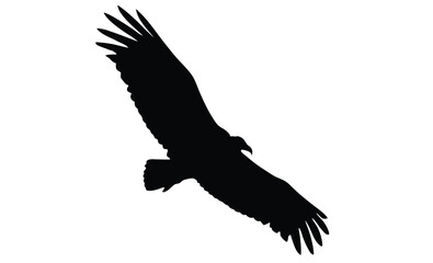 turkey vulture vector art silhouette, Turkey vulture silhouette vector flat illustration design