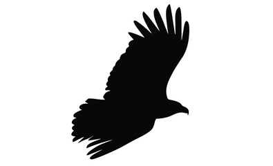 turkey vulture vector art silhouette, Turkey vulture silhouette vector flat illustration design