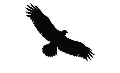turkey vulture vector art silhouette, Turkey vulture silhouette vector flat illustration design