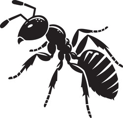 Carpenter Ant Vector | Black Ant Silhouette Clipart Illustration