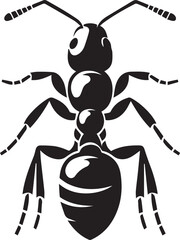 Carpenter Ant Vector | Black Ant Silhouette Clipart Illustration