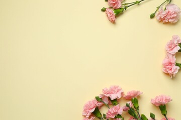 Beautiful bouquet of pink carnations on a color background