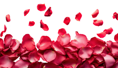 Red roses petals falling in the air, beautiful floral levitation isolated on transparent background.